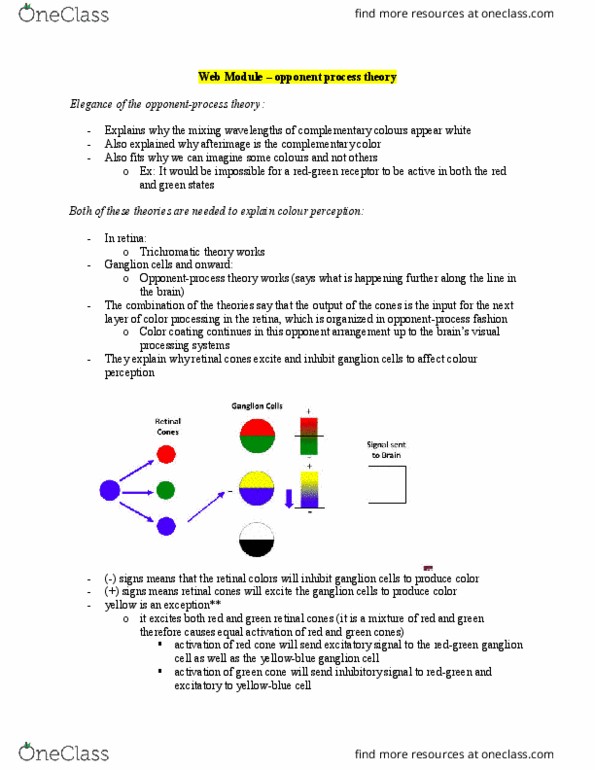 PSYCH 1XX3 Chapter Notes - Chapter Colour perception: Opponent Process, Ganglion Cell, Complementary Colors thumbnail